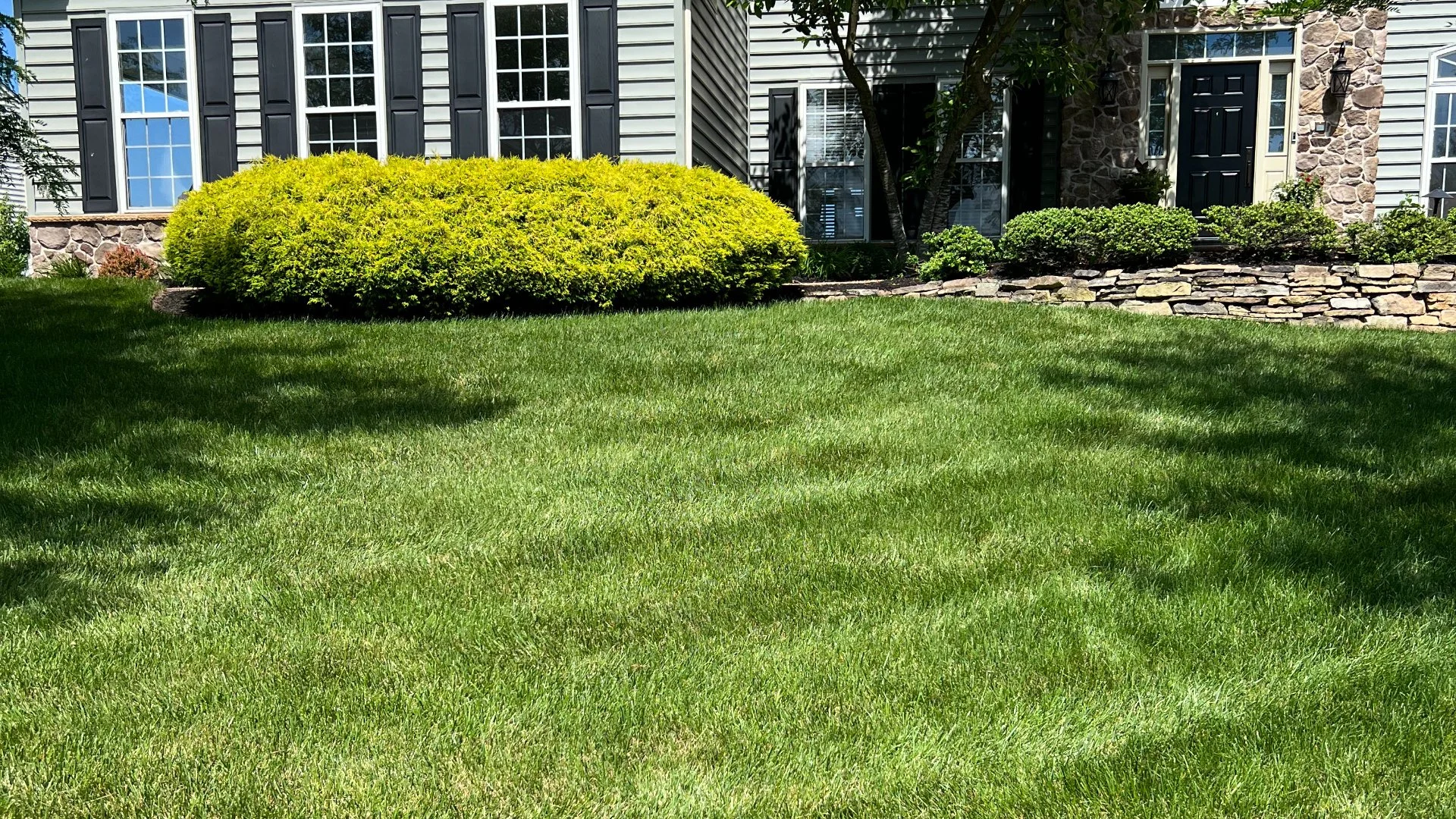 Why Is It Important to Avoid Overfertilizing Your Lawn?